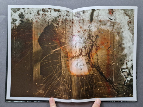 Mold is Beautiful - Setanta Books