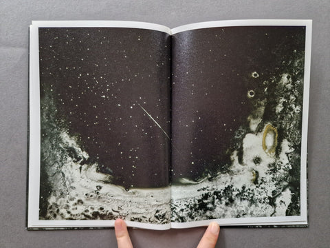 Mold is Beautiful - Setanta Books