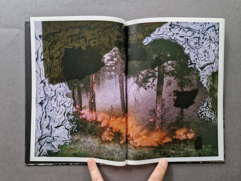 Mold is Beautiful - Setanta Books