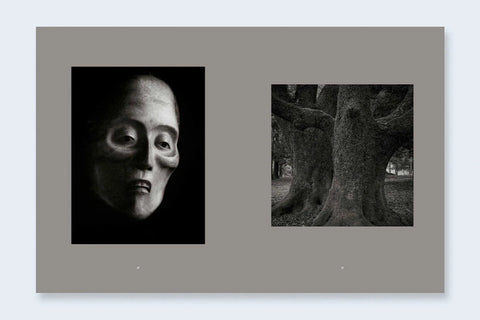 Mono No Aware - Setanta Books