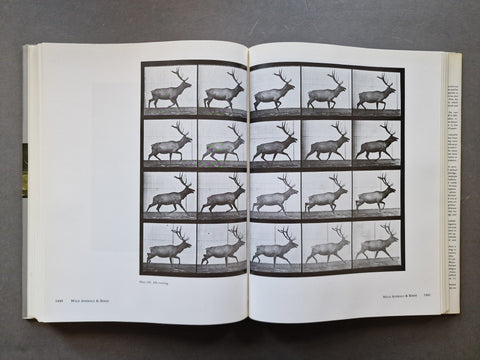 An open book spread showing a black-and-white scientific illustration of a deer captured in multiple motion frames, photographed on a dark gray surface.