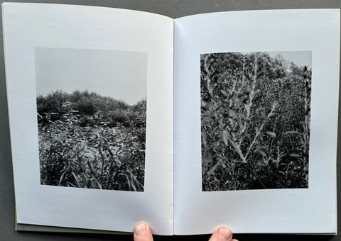 Natur - Setanta Books