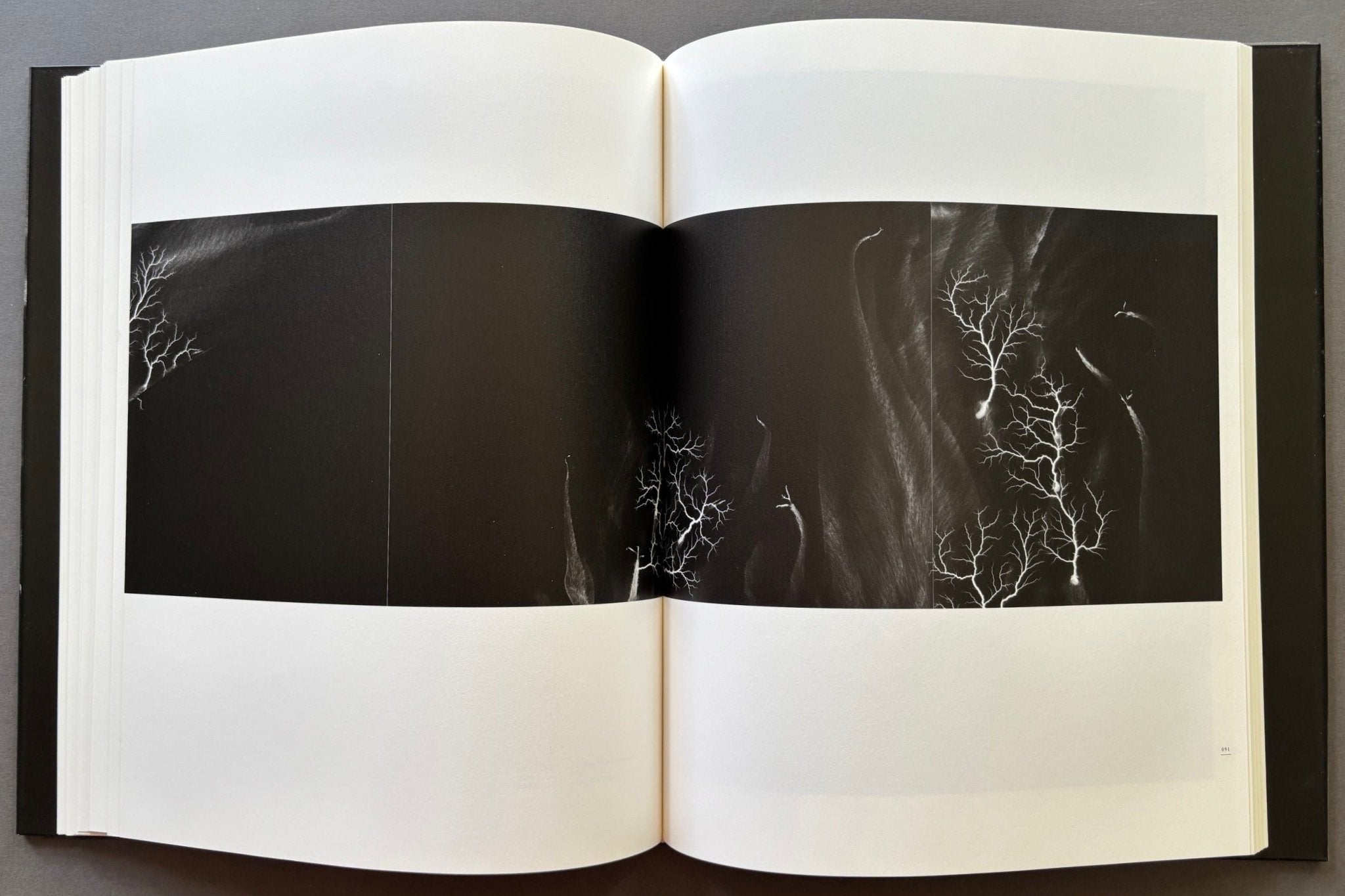 Buy Nature Of Light by Hiroshi Sugimoto – Setanta Books