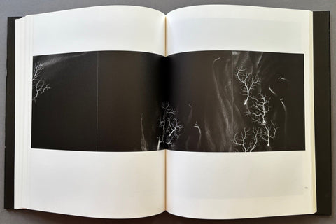 Nature Of Light - Setanta Books