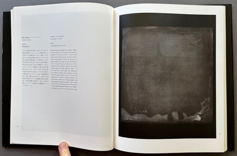 Nature Of Light - Setanta Books