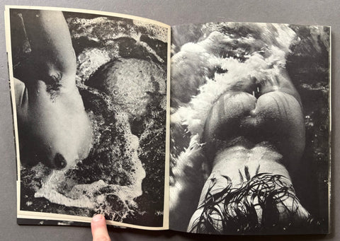 Nee de la Vague - Setanta Books