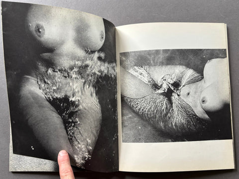 Nee de la Vague - Setanta Books