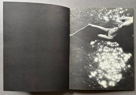 Nee de la Vague - Setanta Books