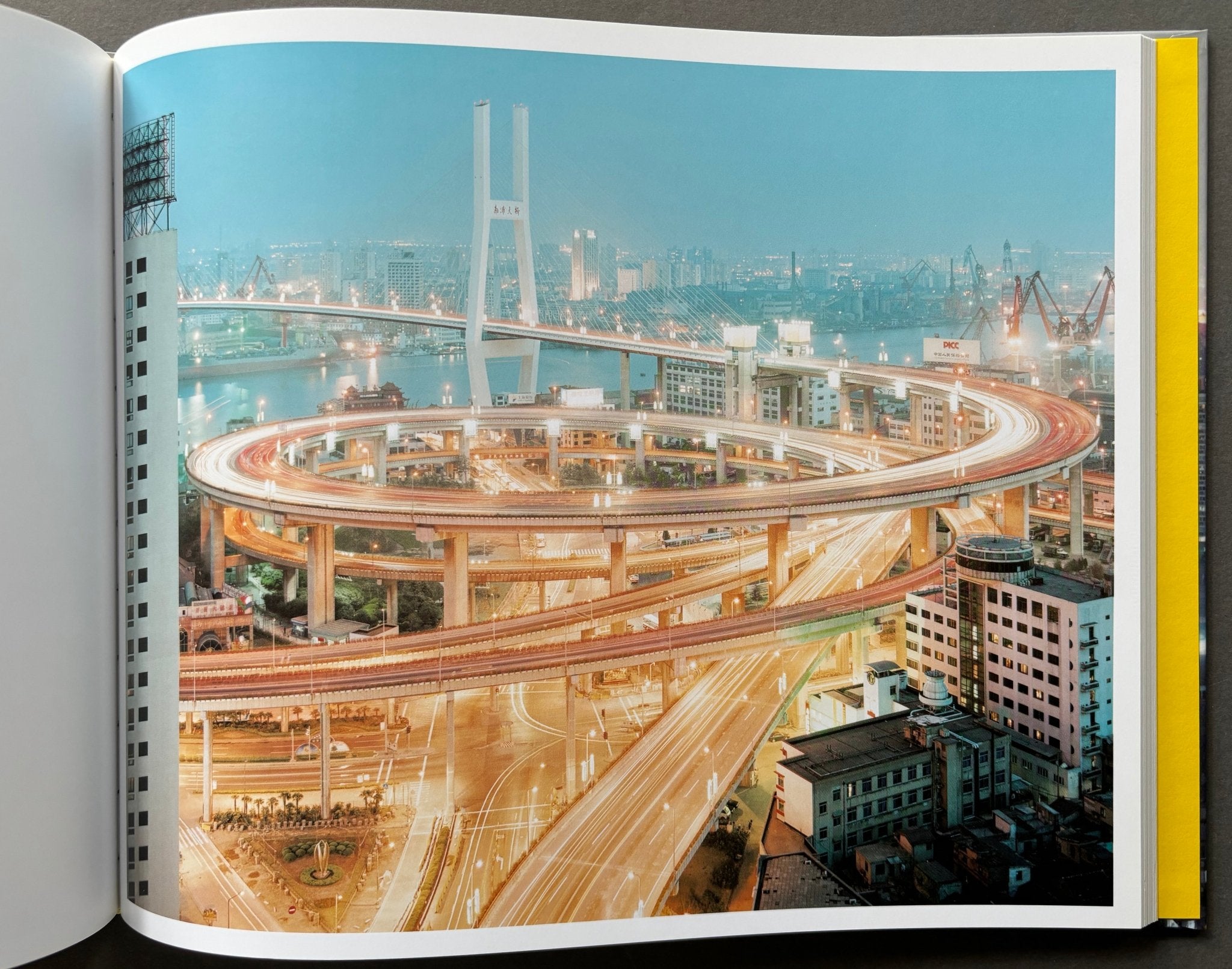 Buy Neon Tigers by Peter Bialobrzeski online. – Setanta Books