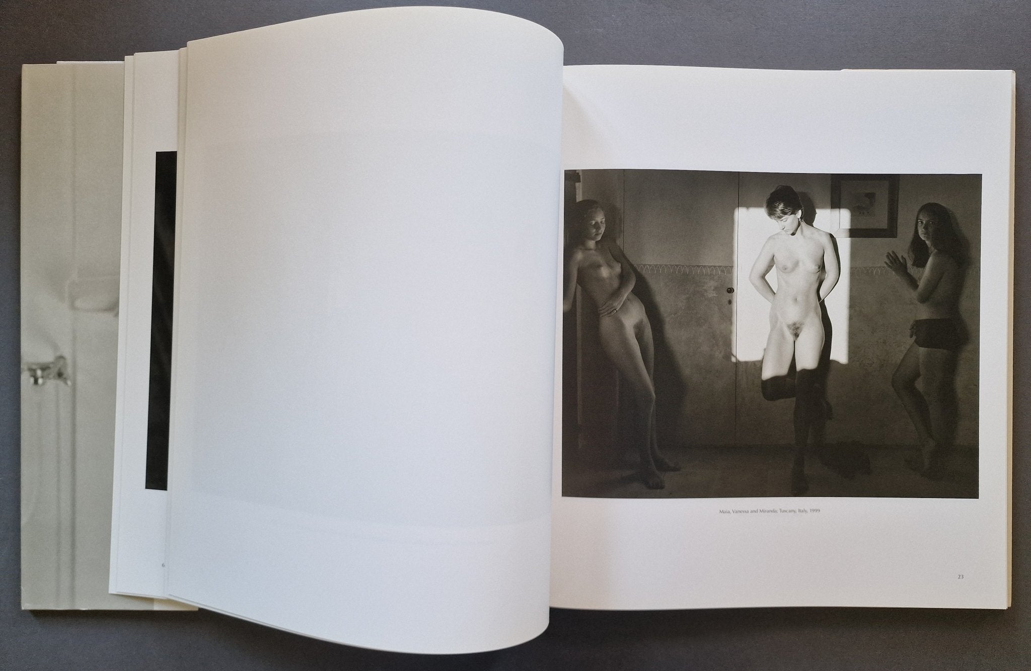 Buy New Work 1996-2000 by Jock Sturges – Setanta Books
