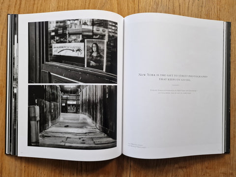 New York Street Diaries - Setanta Books