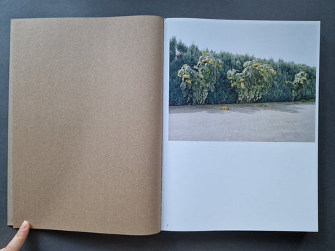 Niemandsland - Setanta Books