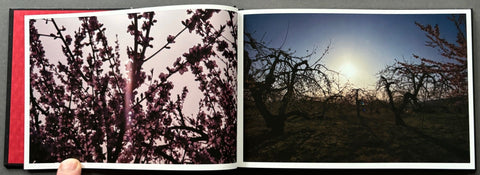 Nocturne - Setanta Books