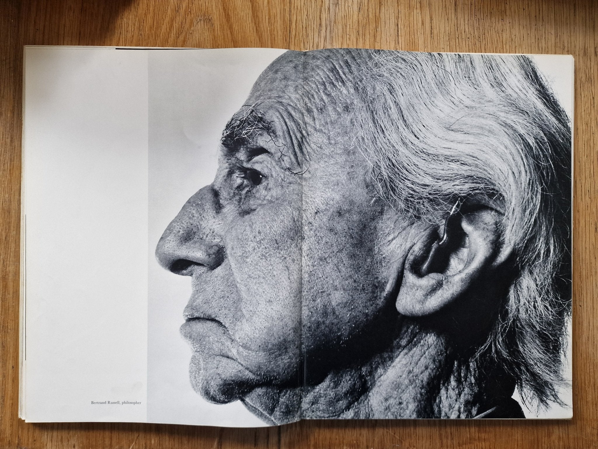 Buy Nothing Personal by Richard Avedon Online – Setanta Books