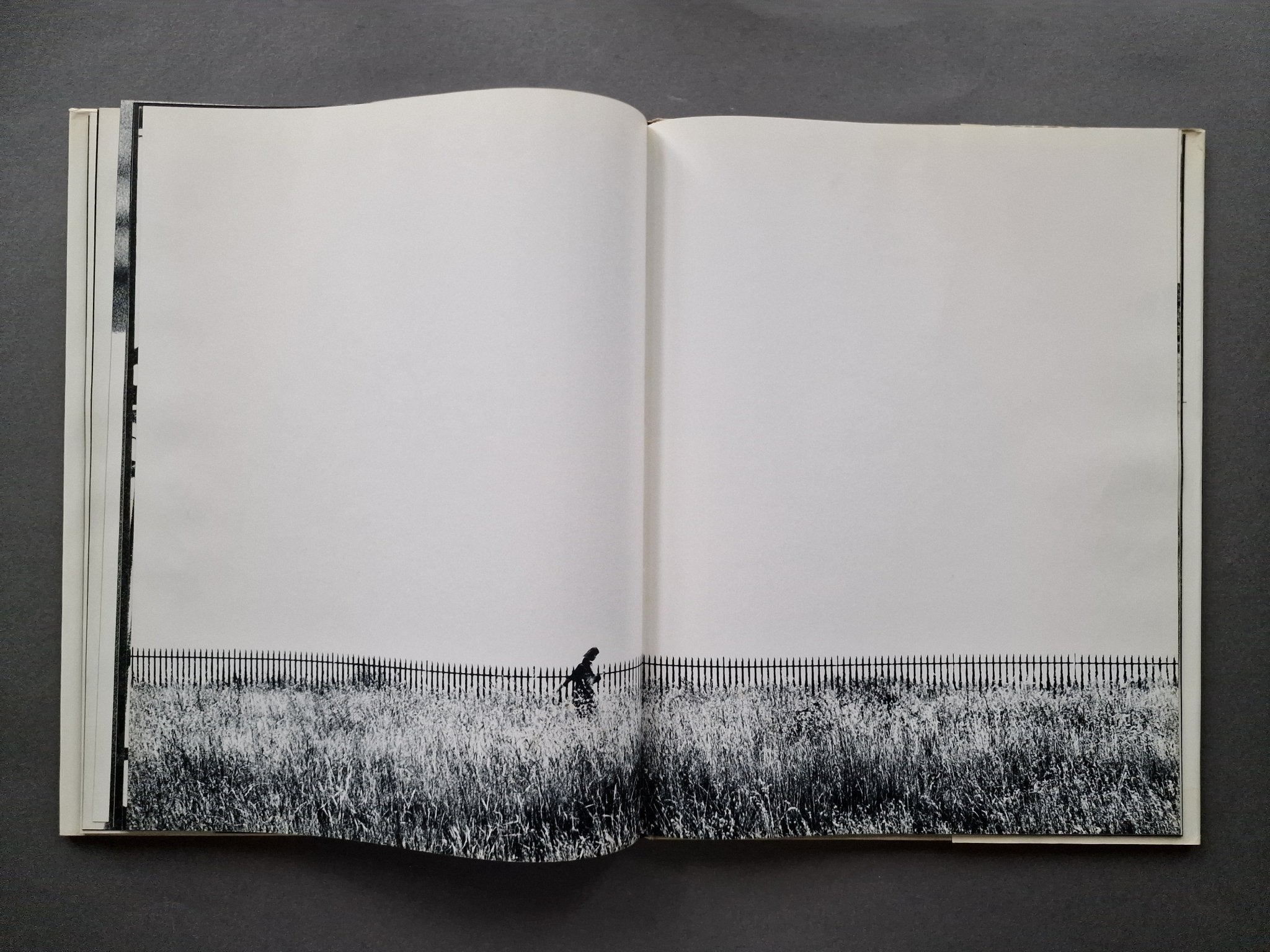 Buy November Girl by Sam Haskins Online – Setanta Books