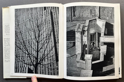 Of New York - Setanta Books