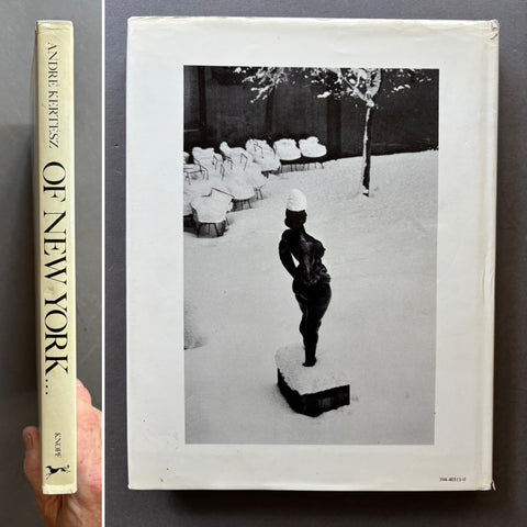 Of New York - Setanta Books