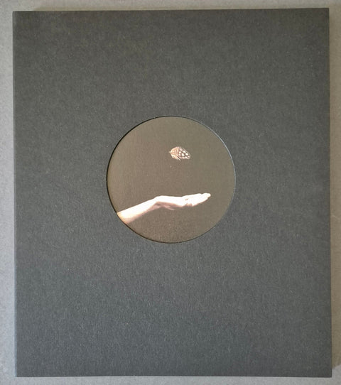 Offerings - Setanta Books