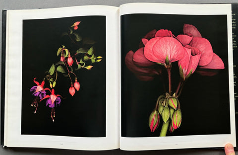 One Hundred Flowers - Setanta Books