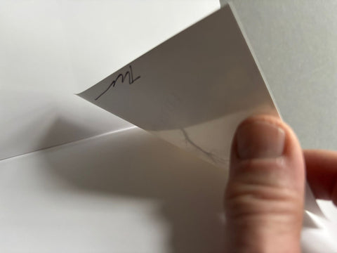 One Picture Book 59: Cracked Trees - Setanta Books