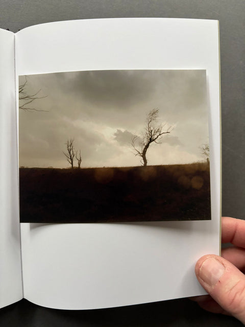 One Picture Book 59: Cracked Trees - Setanta Books