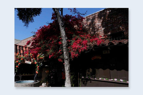 One Picture Book Two 39 : L.A. Dos - Setanta Books