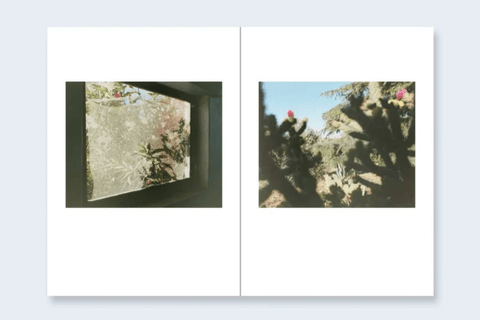 One Picture Book Two 51 : Desert Daze - Setanta Books