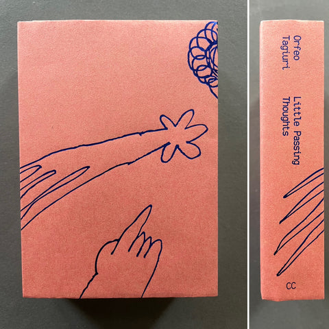 Buy Little Passing Thoughts by Orfeo Tagiuri Online – Setanta Books