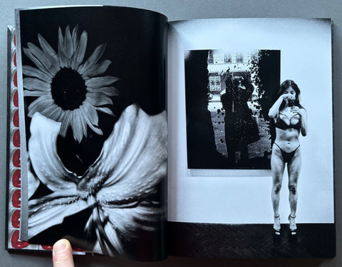 Orizuru - with Print - Setanta Books