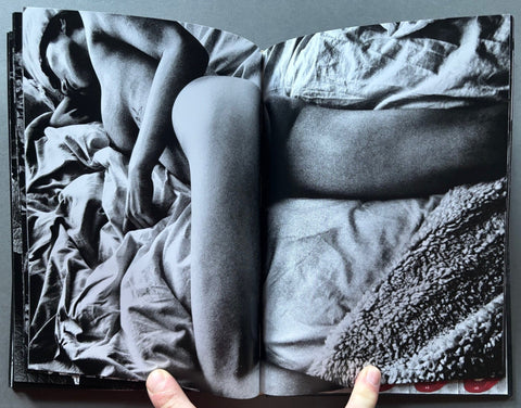 Orizuru - with Print - Setanta Books
