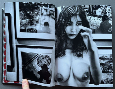 Orizuru - with Print - Setanta Books