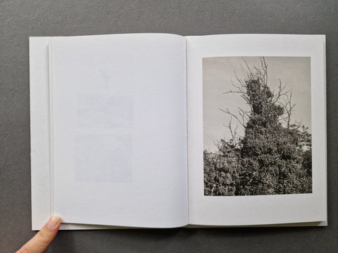 Ossa - Setanta Books