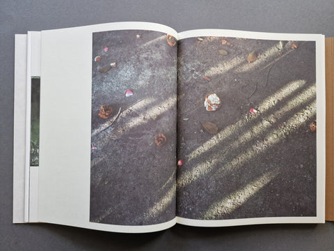 Other Ways of Being - Setanta Books