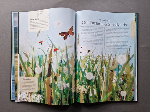 Our Planet: The One Place We All Call Home - Setanta Books