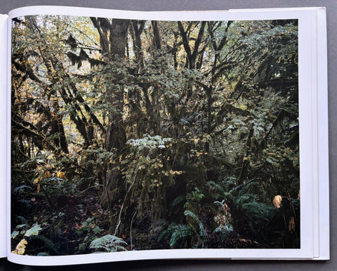 Out There - Setanta Books