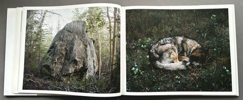 Out There - Setanta Books