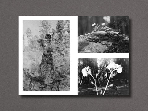 026 - Nathalie Ericson