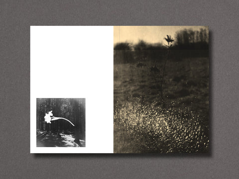 026 - Nathalie Ericson