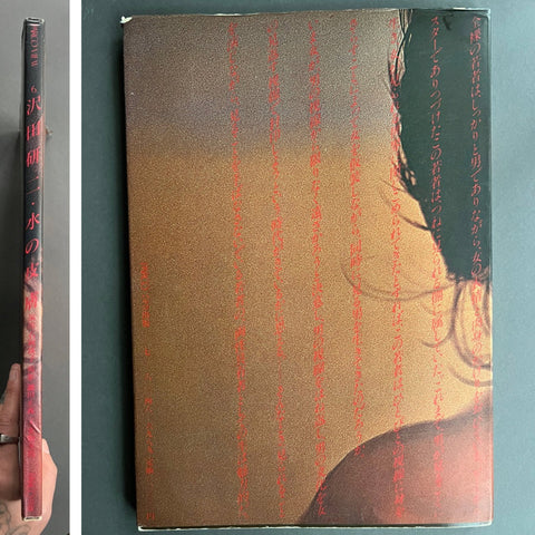 Parco View - Setanta Books