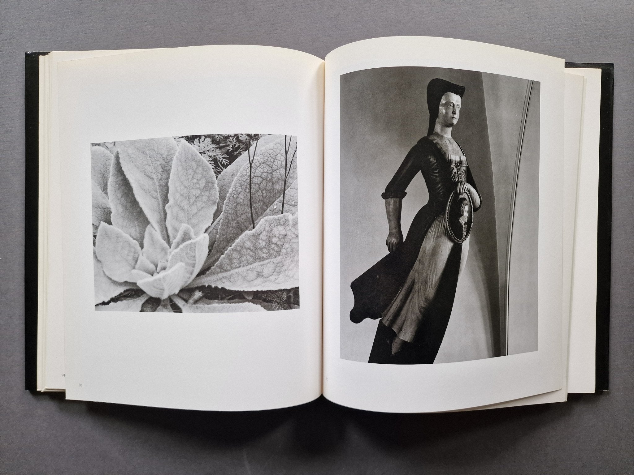 Buy Paul Strand: Sixty Years of Photographs Online – Setanta Books