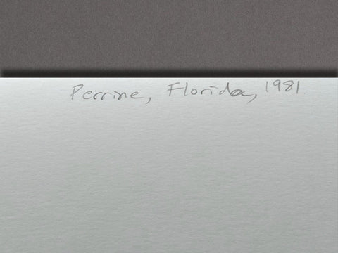 Perrine, Florida, 1981 - Setanta Books