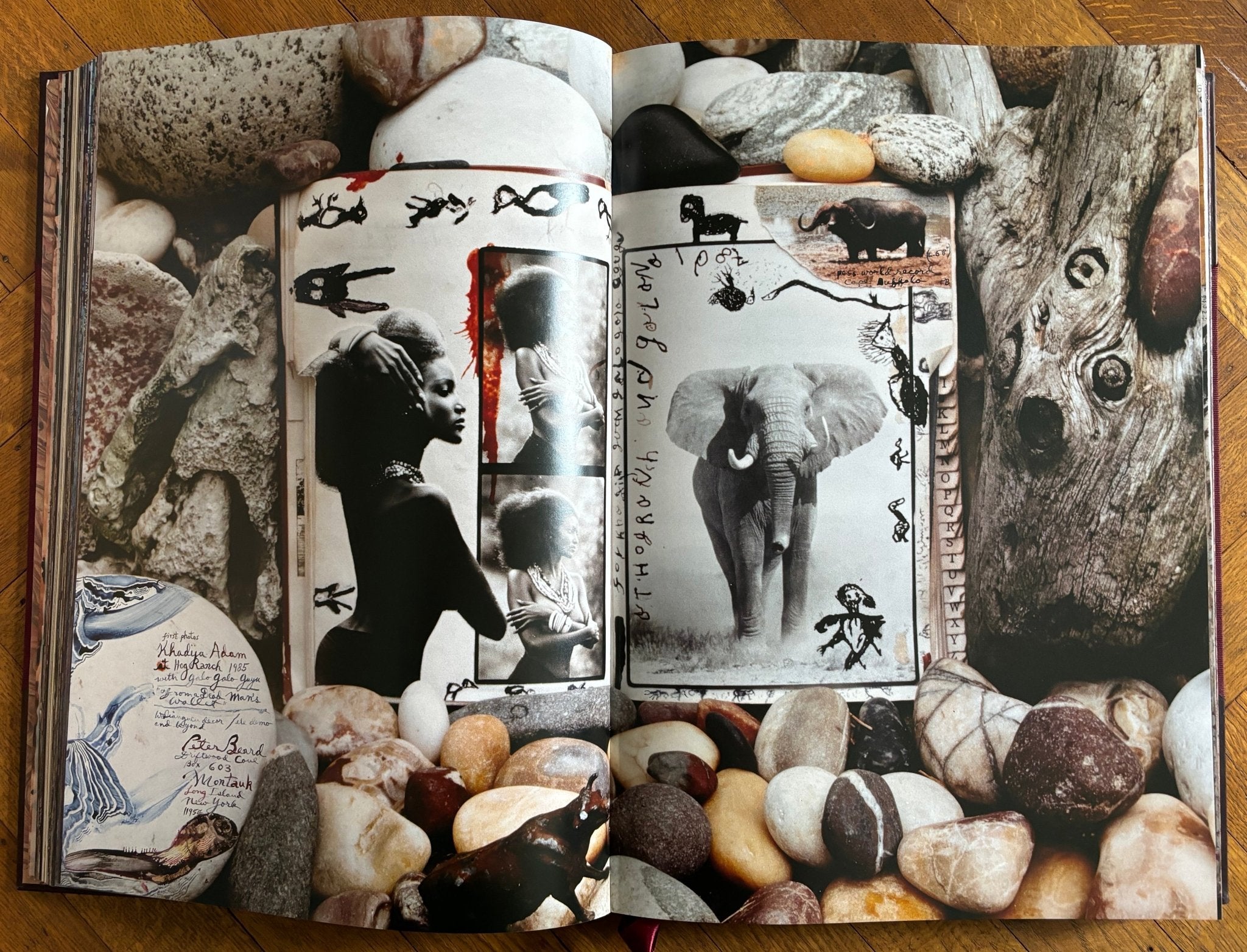 Buy Peter Beard Taschen Art Edition signed and numbered online