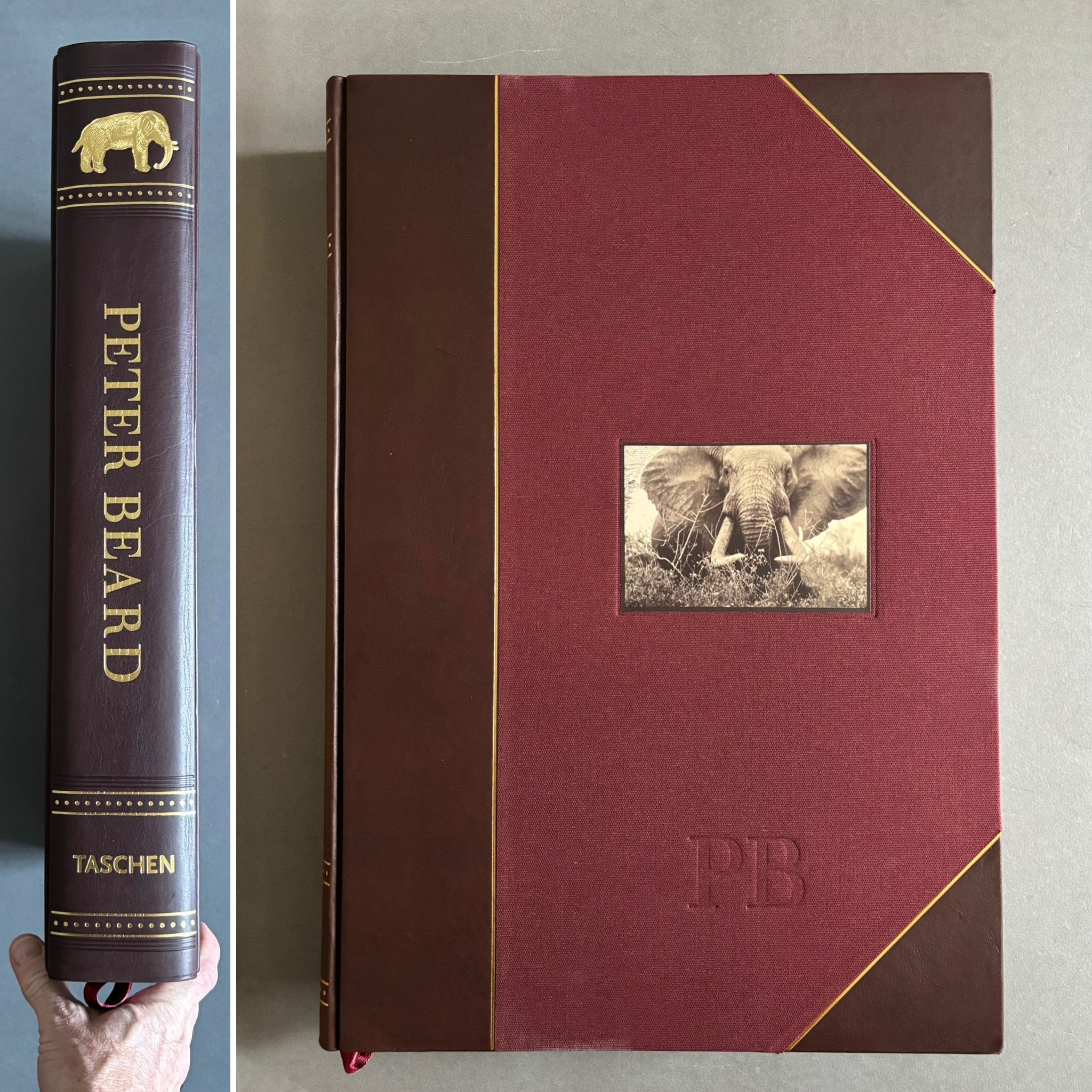 Buy Peter Beard Taschen Art Edition signed and numbered online