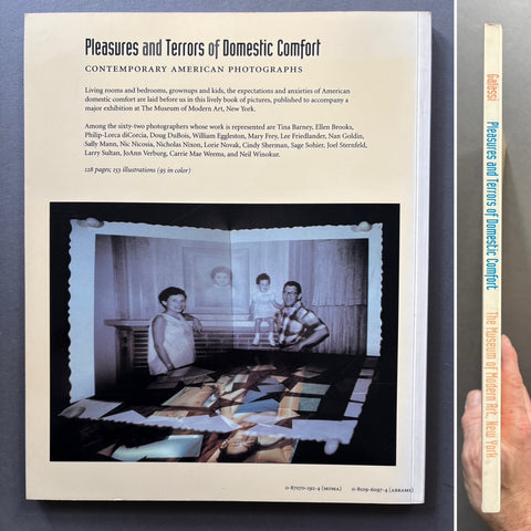 Pleasures and Terrors of Domestic Comfort
