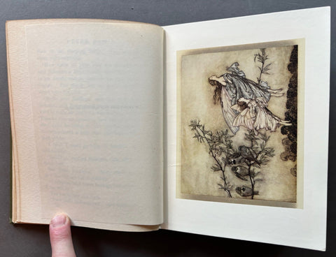 Peter Pan in Kensington Gardens - Setanta Books