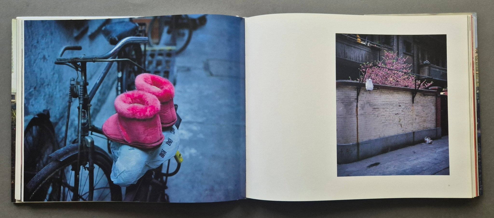 アート・デザイン・音楽 Greg Girard Phantom Shanghai Buy Phantom Shanghai by Greg Girard online – Setanta Books