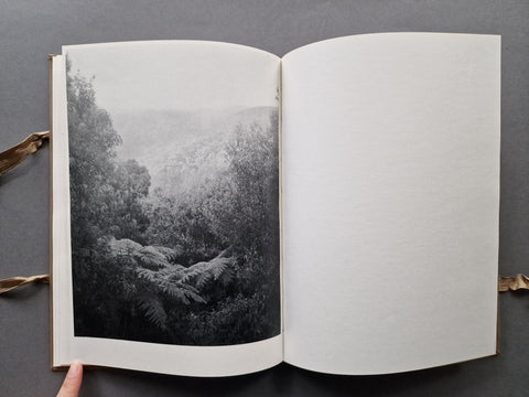 Phenomena - Setanta Books