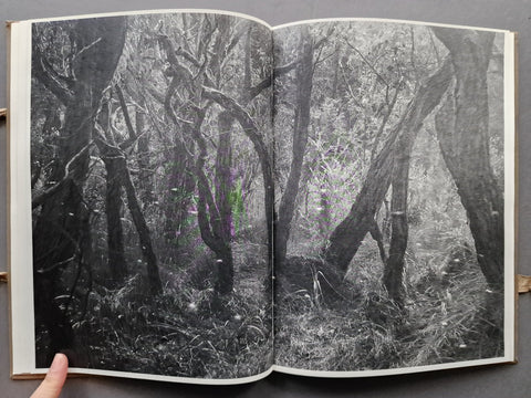 Phenomena - Setanta Books
