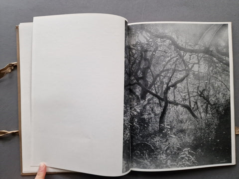 Phenomena - Setanta Books
