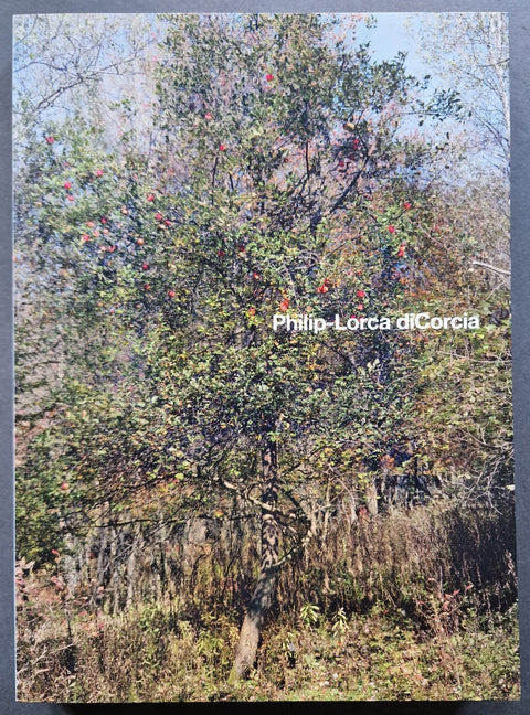 Philip - Lorca DiCorcia - Setanta Books